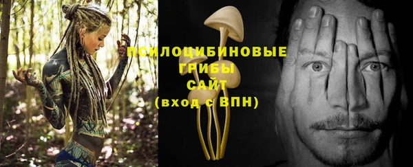 apvp Вязники