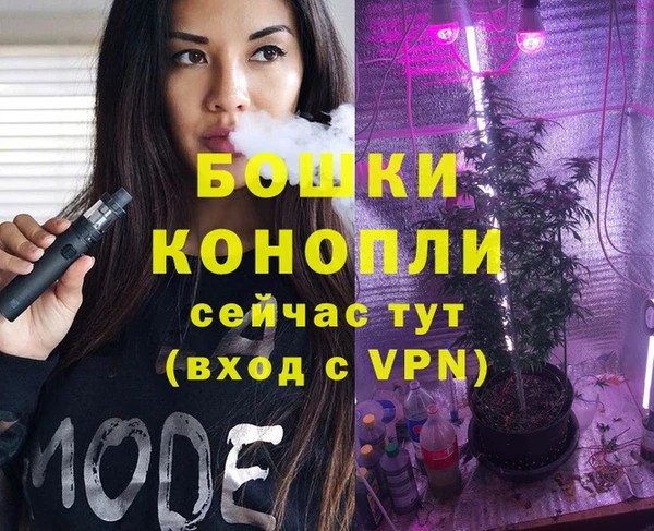 первитин Вяземский
