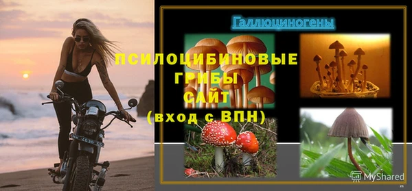 спайс Волосово