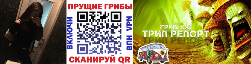 kraken онион  Курган  Псилоцибиновые грибы прущие грибы 